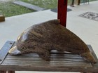 Vintage Dolphin Hand Carved From Natural Soapstone