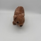 Vintage R  Dakin Co  Brown 10    Plush Baby Bear Stuffed Animal 1975 Ec M43