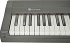 Williams Legato Iv 88-key Digital Piano