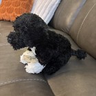 Webkinz Signature Portuguese Water Dog Wks1023  New With Sealed Code  Retired 