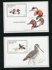 Belarus 173 - 176 Birds  Ducks Complete Set Of Stamp Sheets Mnh 1996