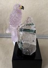 Amethyst Falcon On Tourmaline In Quartz  5   -peter Muller