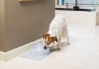 Petsafe Drinkwell 360 Dog And Cat Water Fountain Plastic 128 Oz 