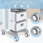 2 Drawers Mobile Trolley Cart Trolley Organizer Mobile Dental Cart With Caster