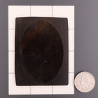 Appealing Convex Cdv 6th Plate Tintype Photograph Of Victorian Woman  1202