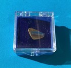Rare Vintage  Bf Goodrich 100th Anniversary Pin
