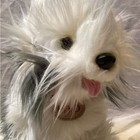 Sheep Dog Plush Stuffed Toy Fao Schwarz 2015 Toys R Us 16 