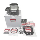 New Oem For Trx 520 Foreman Rubicon Honda 2020 - 2024 Top End Kit W  Cylinder Us