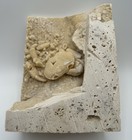 Fossil Travertine Crab  potamon Sp       Pleistocene Travertine  Turkey Uv React 