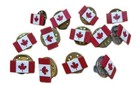  lot Of 13  Canadian Canada Flag Mini 1 2  Lapel Hat Pin Pinback Tie Tacs