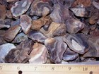 Botswana Agate Mine Rough 1-2  River Run 4 Pound Lots