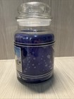 Yankee Candle Rare Summer Holiday Large 22 Oz  100-125 Hrs Unburned Housewarmer
