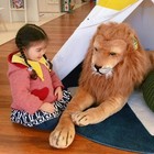 Melissa   Doug Giant Lion - Lifelike Stuffed Animal  over 6 Feet Long 
