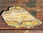 Blue Mountain Jasper Rough Slab Lapidary Cabbing Display