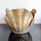 Vintage 10 X 8in Extra Large Brass Nautilus Clam Shell Planter Cachepot Bowl Mcm