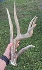 Non Typical 8 Pt Half Rack Shed