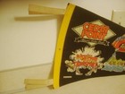 Vintage Cedar Point Amusement Park Souvenir Pennant America s Roller Coasters 
