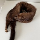 Wild Mink Skin Hide Taxidermy Tanned With Feet claws Nice Condition