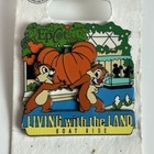 Disney Pin 3d Chip   Dale Pumpkin From Living With The Land Boat Ride At Epcot