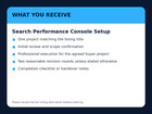 Search Performance Console Setup Professional Custom Service