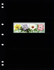  2 50 Scott Value - 1995 Micronesia Hibiscus Flowers Pacific Cv Mnh Nh Umm