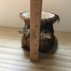 Vtg Farmhouse Vintage Cow Or Buffalo Hoof Pencil Pen   Trinket Cup Holder 4 5 h