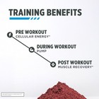 Con-cret Creatine Hcl With Nitric Oxide And Beet Root 40 Servings  pack Of 1 