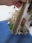Rattlesnake Skin Prairie Rattle Snake Hide Dry Tanned Wrap Pen Blanks 22 In  G8