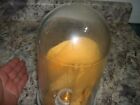 Vintage Steber Industrial Glass Light Fixture Vapor Tight Explosion Proof
