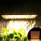 1000w Grow Light Full Spectrum Led Growing Lamp For Indoor Veg Bloom
