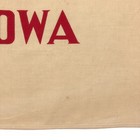 Vintage Cotton Iowa State Flag Old Cloth Usa Liberty Eagle Textile Art
