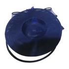 Women s Fascinator Tea Party Hat With Alligator Clip Church Kentucky Derby Hat