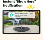 Birdfy Smart Bird Bath With Camera Solar Powered   Solar Fountain   Stand dual-l