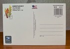  greetings From Kentucky  37 Cent Usps 4 x6  Postcard