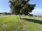              Rose Hills Cemetery Plots For Sale--lot 1398 
