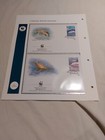 1999 Wwf Hong Kong Stamps