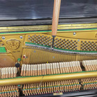 Professional Piano Tuning Kit Piano Tuning Hammer And Mute Kit Piano Tuning K   