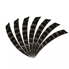 Full Length Arrow Feathers Natural Fletches Turkey Fletching Archery Arrow Diy