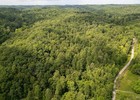 127 Acre Appalachian Homestead  Utilities On Site  Wayne County Wv