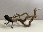 Manzanita Wood  Burnt Driftwood  Reptile Tank Decor   Aquascape  Terrarium