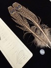 Peacock Pheasant Double Eye Tail Feathers  105