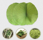 Dried Lotus Leaf 20pcs Whole Big Tea Natural Food Wrapper Decoration Weight Loss
