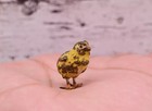 Original   Beautiful Antique Austrian Vienna Cold Painted Bronze Of Baby Chick