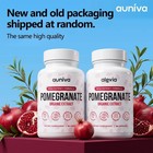Auniva Pomegranate Extract Capsules  Natural Pomegranate Supplement