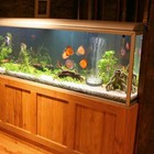 Aquarium Fish Tank Pond Pump Hydroponics Oxygen Aerator Air Bubble Disk Stone