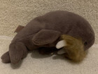 Ty Beanie Baby Plush Jolly The Walrus Dob 12-2-1996 - Nwt