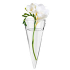 Clear Circular Cone Glass Wall Hanging Vase Flower Vase Bottle For Plant 