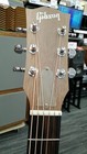 Gibson Acoustic Guitar G-bird