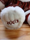 2003 Dan Dee Snowflake Teddy Bear Plush Stuffed Animal Christmas Bear