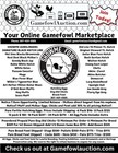 12 Showme Art Hefner     Million Dollar Blue     Fertile Gamefowl Hatching Eggs